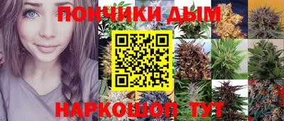 молекула духа Донецк