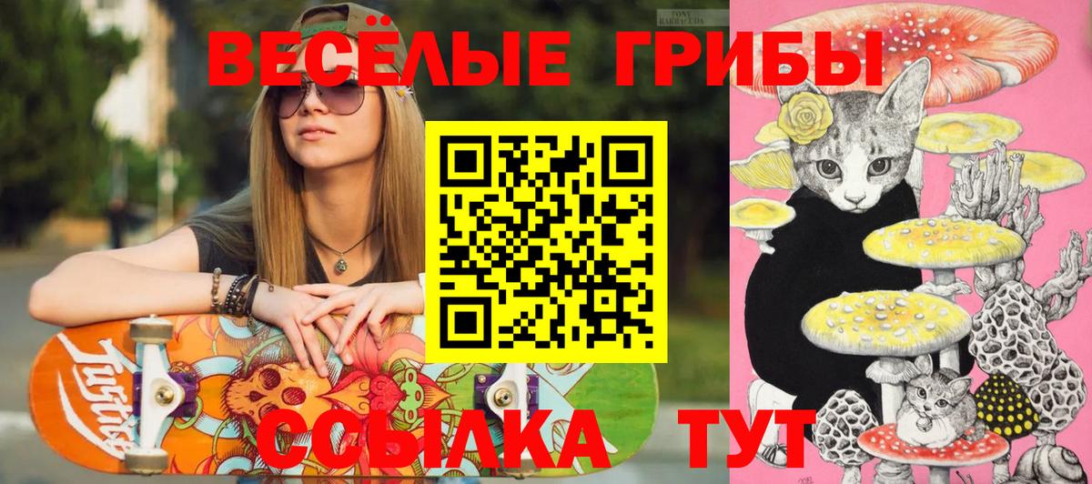 Галлюциногенные грибы Psilocybe Саяногорск
