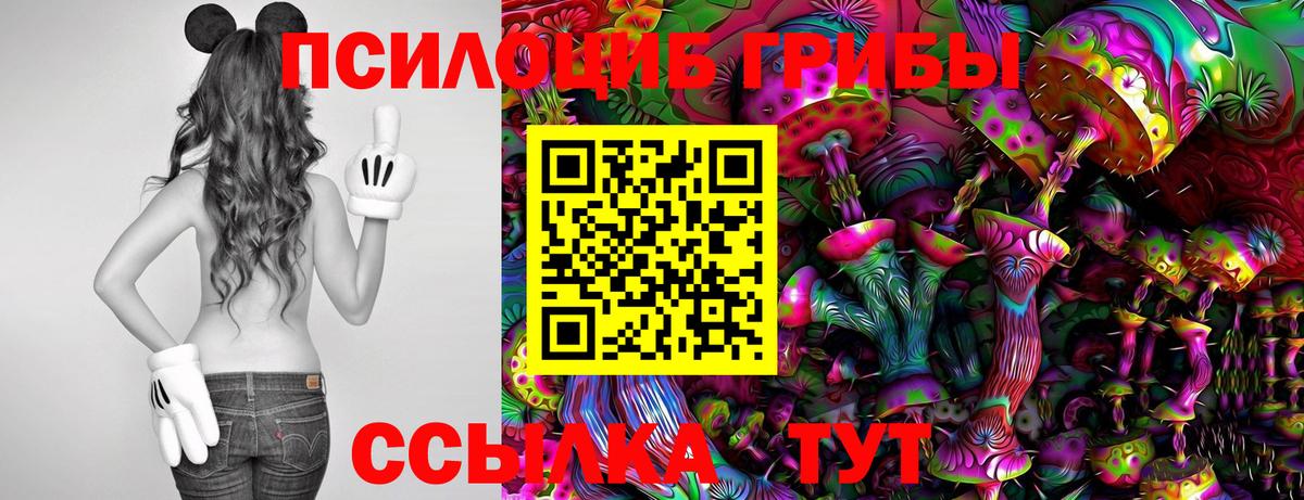 дарнет шоп  Галлюциногенные грибы мицелий  Вход с VPN  Саяногорск 